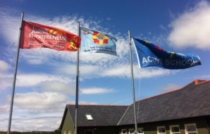 Flags-June-2015-298x190