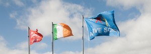 Flags-Slider-300x109-1