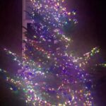 Christmas 2022
