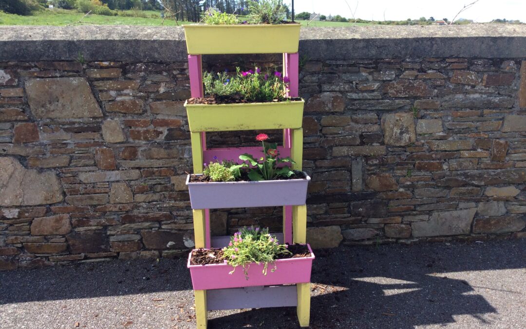 Our School Garden